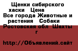 Щенки сибирского хаски › Цена ­ 12 000 - Все города Животные и растения » Собаки   . Ростовская обл.,Шахты г.